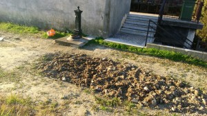 “Indegna noncuranza” al cimitero di Catanzaro Lido